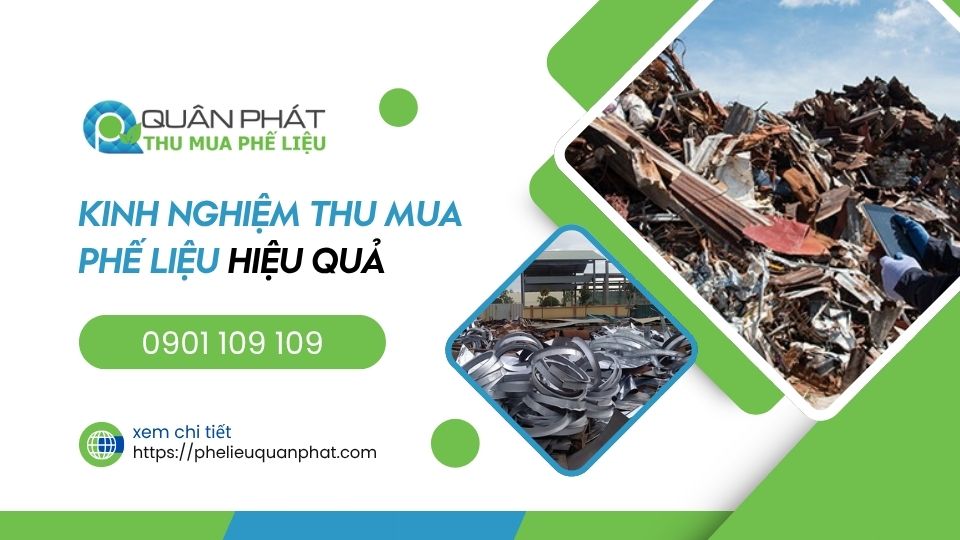 Kinh nghiệm mua phế liệu: Chia sẻ bí quyết thành công với ngành ve chai